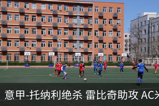 意甲-托纳利绝杀 雷比奇助攻 AC米兰2-1夺3连胜
